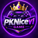 PKNicev1 Game APK profile logo with purple gaming design